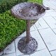 Premium Hummingbird Bird Bath