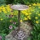 Premium Hummingbird Bird Bath