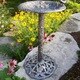 Premium Hummingbird Bird Bath