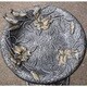 Premium Hummingbird Bird Bath