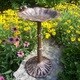 Premium Frog Bird Bath