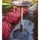 Premium Frog Bird Bath