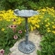 Premium Frog Bird Bath
