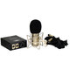 BadAax GT-2B Diaphragm Tube Condenser Microphone