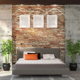 Danican Design 8-inch Queen Memory Foam Mattress