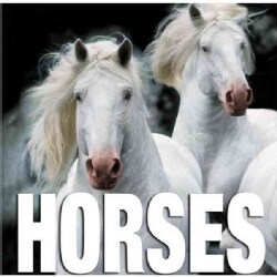 Horses (Hardcover)