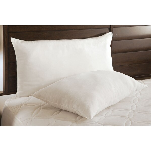 Rest Remedy The Big Squeeze Pillow (Set of 2)
