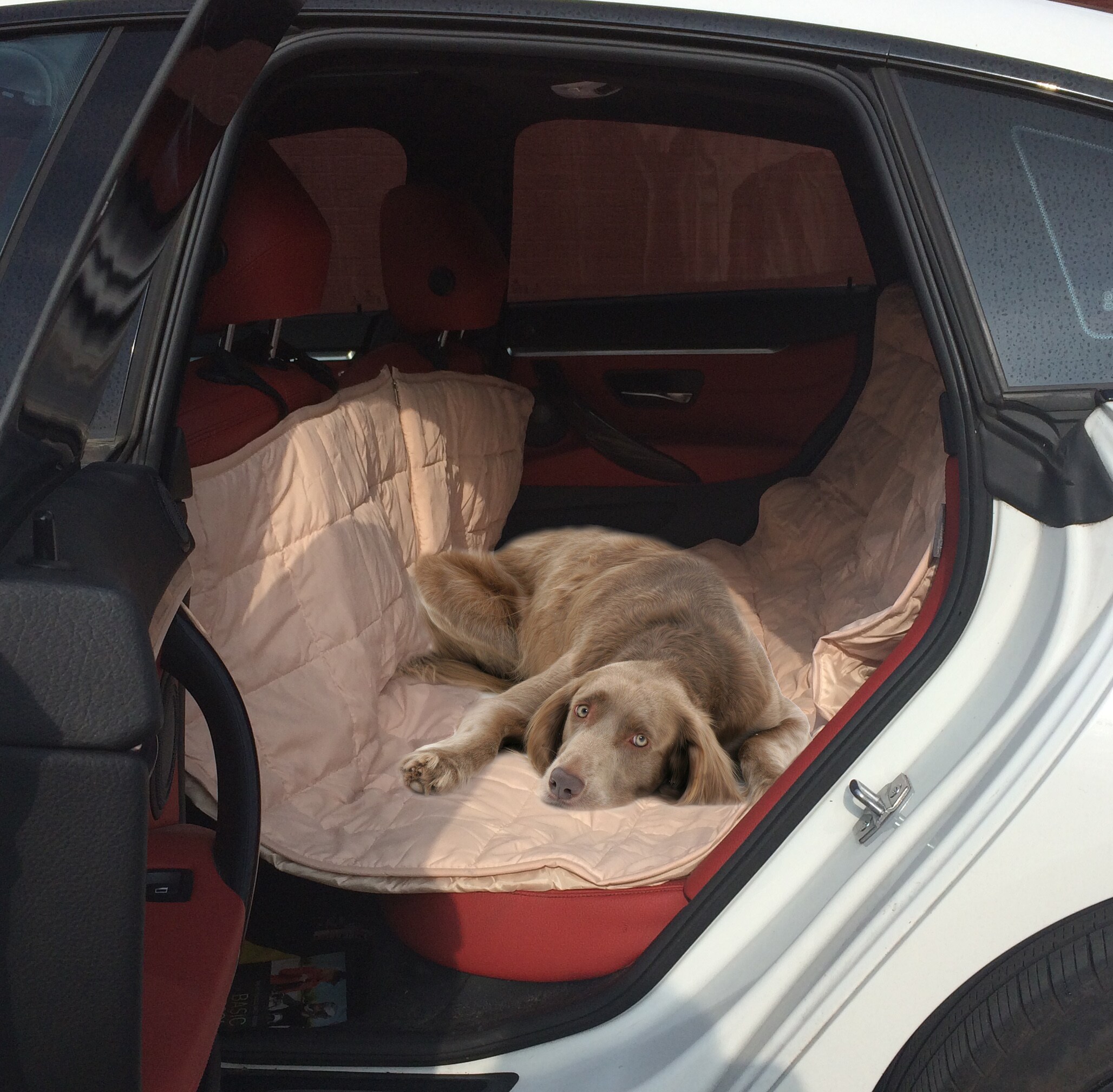 Quilted Suede Hammock Style Pet Car Seat Cover 16559424 Shopping The Best