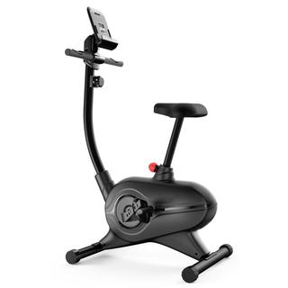 overstock spin bike
