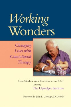 Working Wonders: Changing Lives With Cranio Sacral Therapy (Paperback)