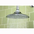 Chicago Chrome Showerhead