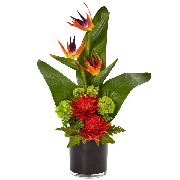 Bird of paradise tropical arrangement in black vase 0cd77682 f793 4321 92cc 6f355b0638a0 600