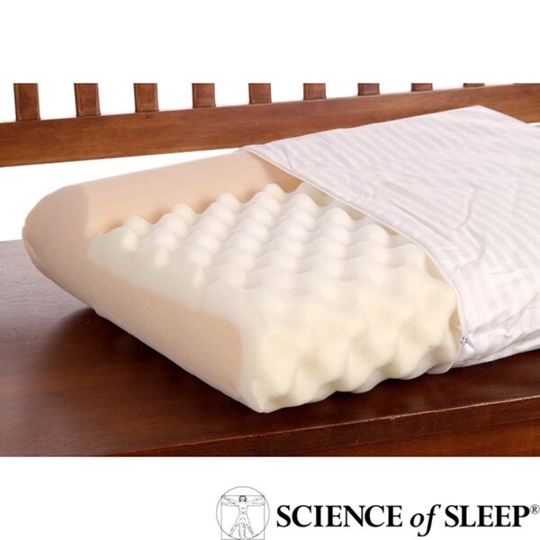 Science of Sleep Ache No More Pillow Overstock Shopping Great Deals on Science of Sleep Pillows