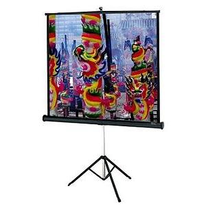 60 in. x 60 in. Da-Lite Versatol Portable and Tripod Projection Screen