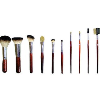 Professional Italian Badger 10 Brush Set