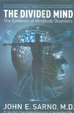 The Divided Mind: The Epidemic of Mindbody Disorders (Paperback)