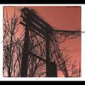 Harris Newman - Accidents With Nature And Each Other *