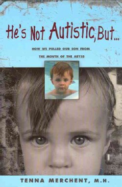 He's Not Autistic But...: How We Pulled Our Son from the Mouth of the Abyss (Paperback)