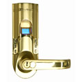 Gold Finish Left Handled Fingerprint Door Lock