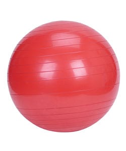 Exercise Ball (55cm)-Image