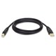Tripp Lite USB 2.0 Hi-Speed A/B Cable (M/M) 6-ft.