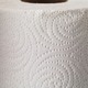 Georgia-Pacific Preference Perforated 2-Ply White Paper Towel Roll (30 Rolls/Carton)