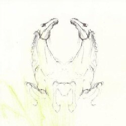 My Brightest Diamond - Tear It Down