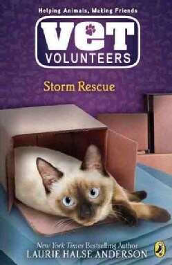 Storm Rescue (Paperback)