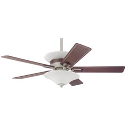 Hunter Piedmont 54-inch fan