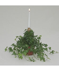 Ivy Single Candelabra in Plastic Terra Cotta