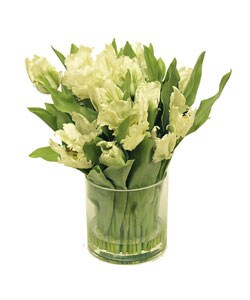 Faux Tulips In Glass Vase