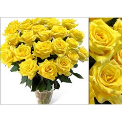Bouquet of 75 Yellow Roses