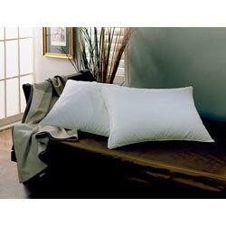 St. Cloud White Down Pillow (Set of 2)