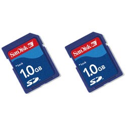 SanDisk 1GB Secure Digital Memory Card (Case of 2)