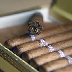 Cigar of the Month Club (12 Months)