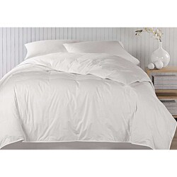 Alta All Season 240 Thread Count Down Blend Comforter