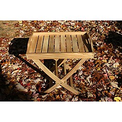 Tray Table