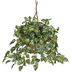 Pothos Silk Plant in Hanging Basket