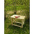 Rustic Adirondack Cedar Log Side Table