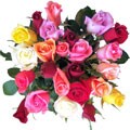 Simply Two Dozen Multicolored Roses (24 Stems)