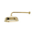 Polished Brass Victorian Showerhead and Arm