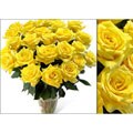 Bouquet of 75 Yellow Roses
