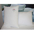 Outlast Cooling Pillow Pair