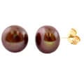 DaVonna 14k Yellow Gold Chocolate FW Pearl Stud Earrings (8-8.5 mm)