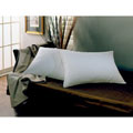 St. Cloud White Down Pillow (Set of 2)