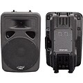 PylePro 800-watt 2-way Plastic Molded Loudspeaker