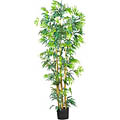 Silk Bambusa 6-foot Tree