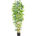 Silk Bambusa 7-foot Tree