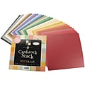 Match Makers Neutrals Cardstock Stack