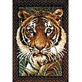 Wonderart Tiger Latch Hook Kit